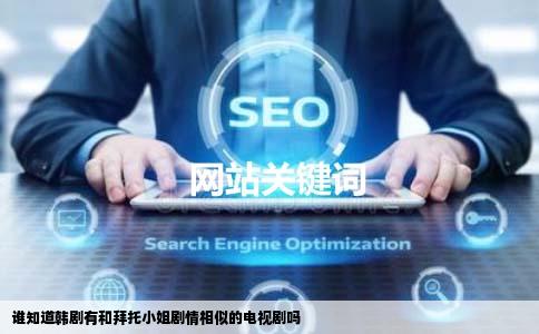 谁知道韩剧有和拜托小姐剧情相似的电视剧吗