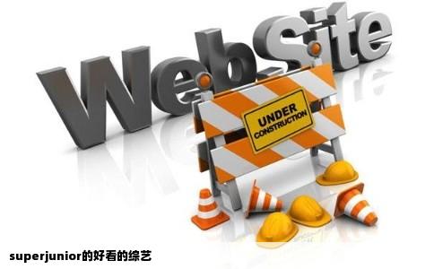 superjunior的好看的综艺