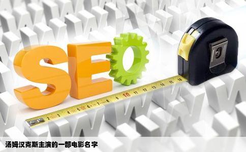 汤姆汉克斯主演的一部电影名字