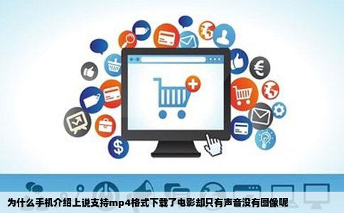 为什么手机介绍上说支持mp4格式下载了电影却只有声音没有图像呢