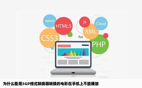 为什么我用3GP格式转换器转换的电影在手机上不能播放