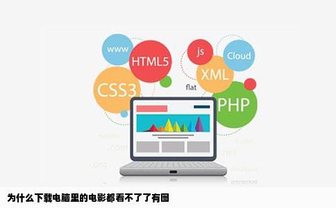 为什么下载电脑里的电影都看不了了有图