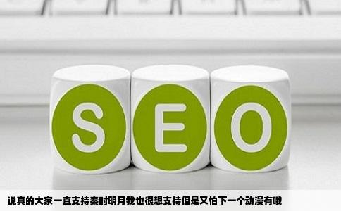 说真的大家一直支持秦时明月我也很想支持但是又怕下一个动漫有哦