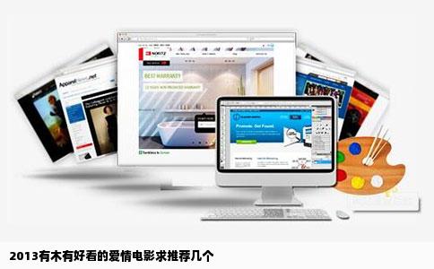 2013有木有好看的爱情电影求推荐几个